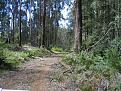Click image for larger version

Name:	4wd22008004[1].jpg
Views:	452
Size:	101.5 KB
ID:	635389