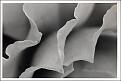 Click image for larger version

Name:	Petals.jpg
Views:	723
Size:	62.4 KB
ID:	635493