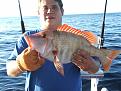 Click image for larger version

Name:	fish pics 005.jpg
Views:	299
Size:	106.9 KB
ID:	635536
