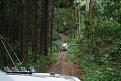 Click image for larger version

Name:	Deep in the jungle.jpg
Views:	631
Size:	107.8 KB
ID:	635560