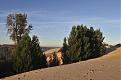 Click image for larger version

Name:	BigDesert  008.jpg
Views:	317
Size:	84.3 KB
ID:	635847