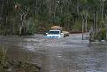 Click image for larger version

Name:	Cape York 2011 458 (800x533).jpg
Views:	449
Size:	70.6 KB
ID:	636439