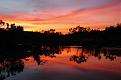 Click image for larger version

Name:	DSC_2767.jpg
Views:	301
Size:	90.1 KB
ID:	636443