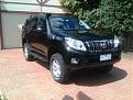 Click image for larger version

Name:	Prado 1.jpg
Views:	301
Size:	94.6 KB
ID:	637385