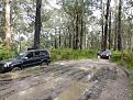 Click image for larger version

Name:	Otways Trip 17th Nov 017.jpg
Views:	228
Size:	98.3 KB
ID:	641463