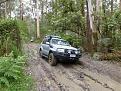 Click image for larger version

Name:	Otways Trip 17th Nov 035.jpg
Views:	219
Size:	99.2 KB
ID:	641465