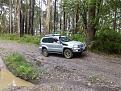 Click image for larger version

Name:	Otways Trip 17th Nov 024.jpg
Views:	249
Size:	98.7 KB
ID:	641468