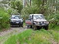Click image for larger version

Name:	Otways Trip 17th Nov 086.jpg
Views:	245
Size:	98.7 KB
ID:	641469