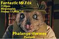 Click image for larger version

Name:	phalangeriformes.jpg
Views:	215
Size:	54.7 KB
ID:	645216