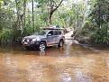 Click image for larger version

Name:	Dulhunty River 03.jpg
Views:	315
Size:	98.8 KB
ID:	645681