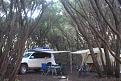 Click image for larger version

Name:	24 Parrys Beach camp.JPG
Views:	227
Size:	73.9 KB
ID:	645702