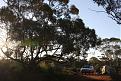 Click image for larger version

Name:	30 Camp near Kalgoorlie.JPG
Views:	225
Size:	83.3 KB
ID:	645710
