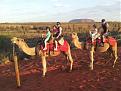 Click image for larger version

Name:	62 Camel ride.jpg
Views:	209
Size:	48.1 KB
ID:	645720