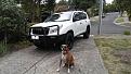 Click image for larger version

Name:	Prado + Roxy.jpg
Views:	518
Size:	98.9 KB
ID:	647775