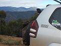 Click image for larger version

Name:	20140415_093724.jpg
Views:	319
Size:	88.1 KB
ID:	647925