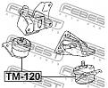 Click image for larger version

Name:	tm-120.jpg
Views:	975
Size:	75.0 KB
ID:	652722