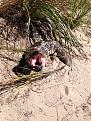 Click image for larger version

Name:	IMG_1331.jpg
Views:	233
Size:	99.3 KB
ID:	658576